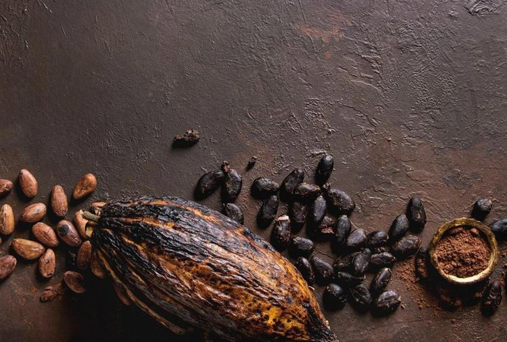 Картография: на какао-бобах | Источник: freepik.com