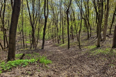 В Башкирии ввели особый противопожарный режим до 12 июня
