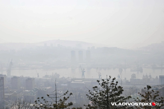 Источник: Елена Буйвол / VLADIVOSTOK1.RU