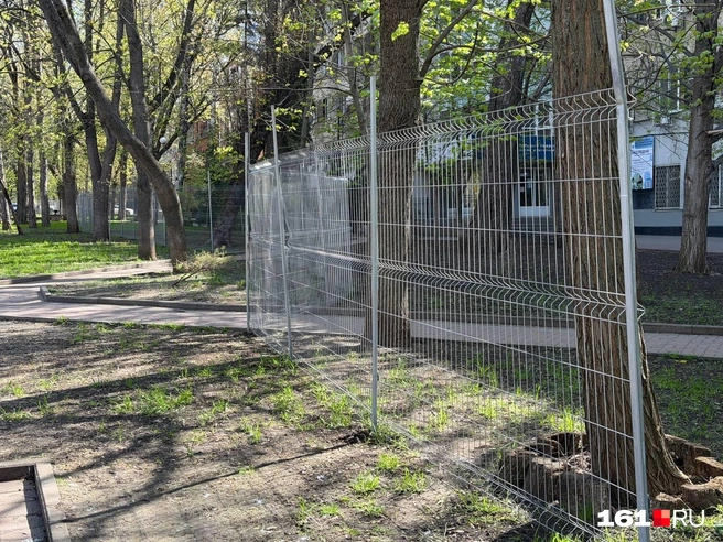 Источник: Евгений Вдовин / 161.RU