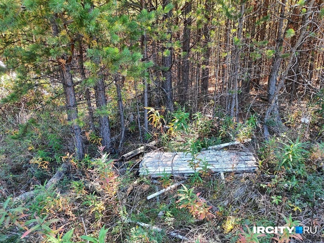 В поселке Сосновый Бор обнаружилась свалка люминесцентных ламп | Источник: Алина Ринчино / «ИрСити»