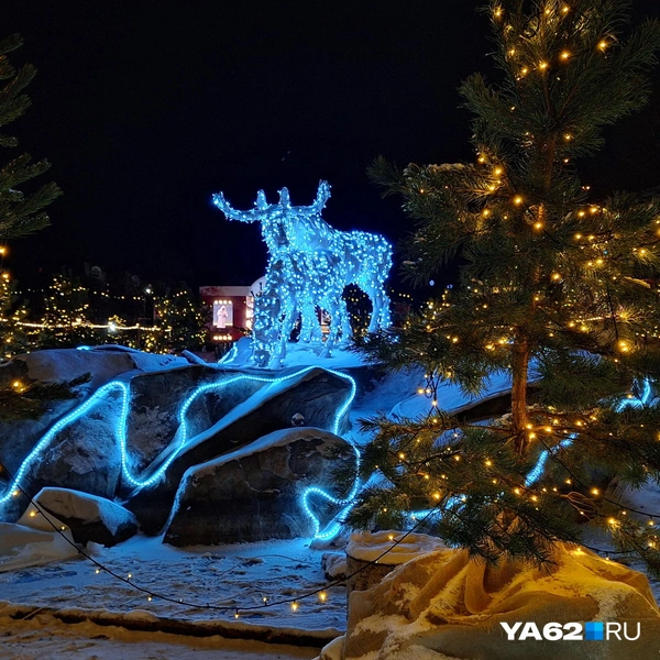 Даже лосей не забыли украсить | Источник: Мария Борзева / YA62.RU