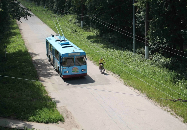 Опубликовано расписание транспорта до пляжа на Орешке | ya62.ru