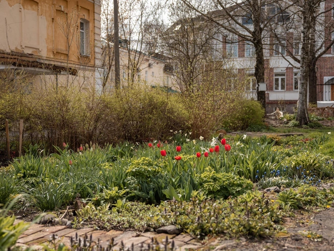 Клумба в «Рождественском саду» | Источник: Александр Куренной / 76.RU