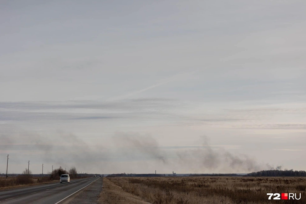 Дым видно издалека | Источник: Ирина Шарова / 72.RU