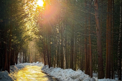 Новости Югры за 24 апреля: кадры, поезда и авиарейс