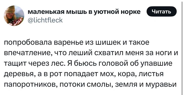 Источник: X (Twitter)