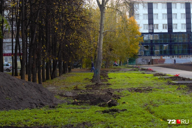 Под новые тоже готовят места | Источник: Павел Красоткин / 72.RU 