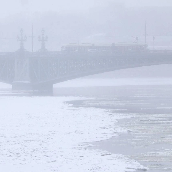 Источник: Сергей Михайличенко/«Фонтанка.ру»