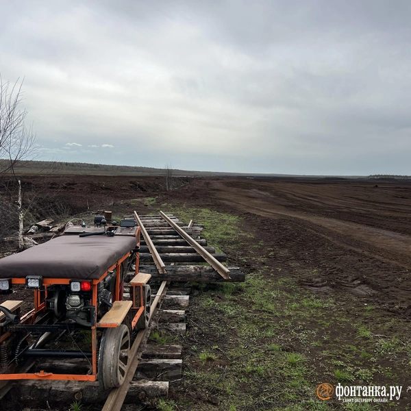 Источник: Предоставлено Максимом Шашковым