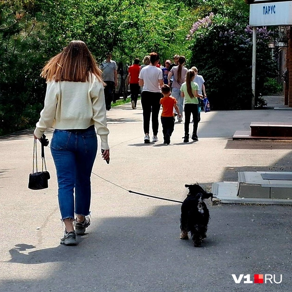 Здесь очевидно не место проведения массового мероприятия | Источник: Тимофей Крылов / V1.RU