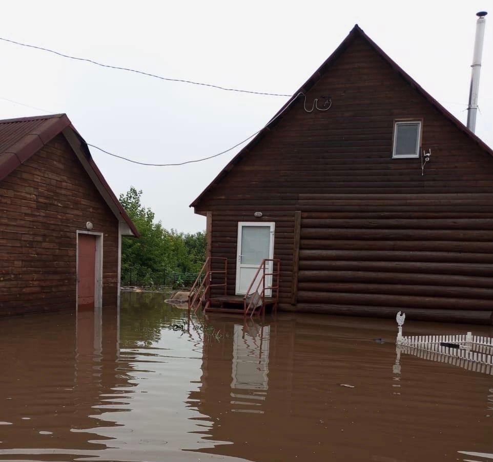 «Вода до груди — думали, что всё». Семья едва не погибла во время потопа в Магнитогорске, их любимая собака не выплыла