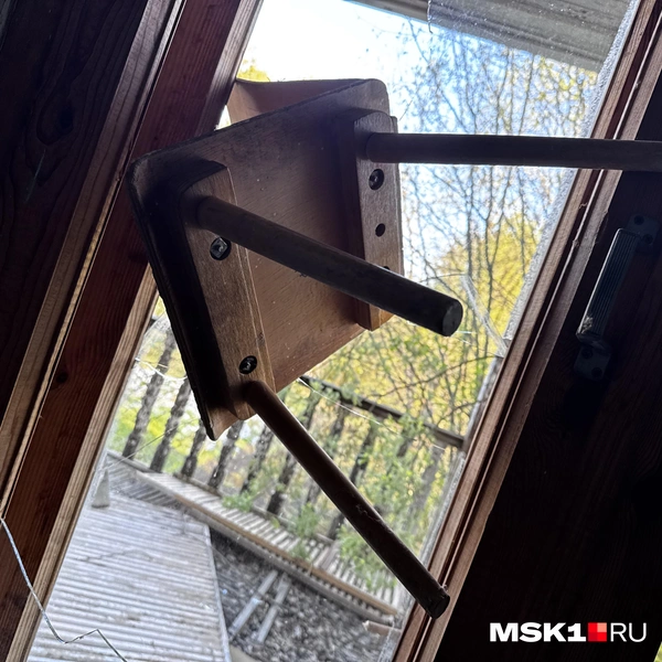 Источник: Алина Мельникова / MSK1.RU