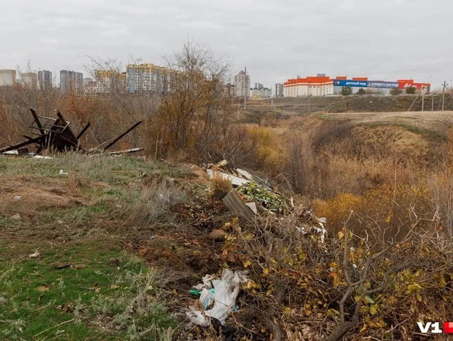 В овраге near подножия Мамаева кургана сформировалась масштабная свалка | Источник: Алексей Волхонский / V1.RU