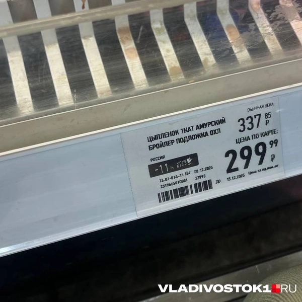 Источник: Елена Буйвол / VLADIVOSTOK1.RU