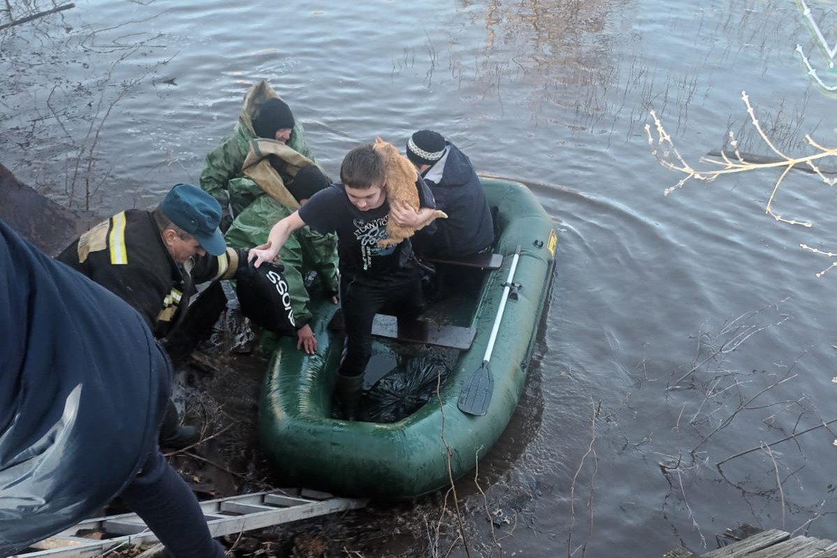 В Башкирии из-за подъема талых вод жителей домов эвакуировали на лодках - 3  апреля 2024 - УФА1.ру