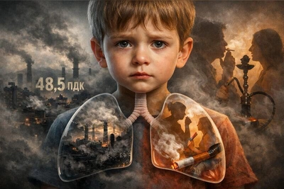 Нарушения в сфере загрязнения воздуха выявлены в Чите и Забайкалье