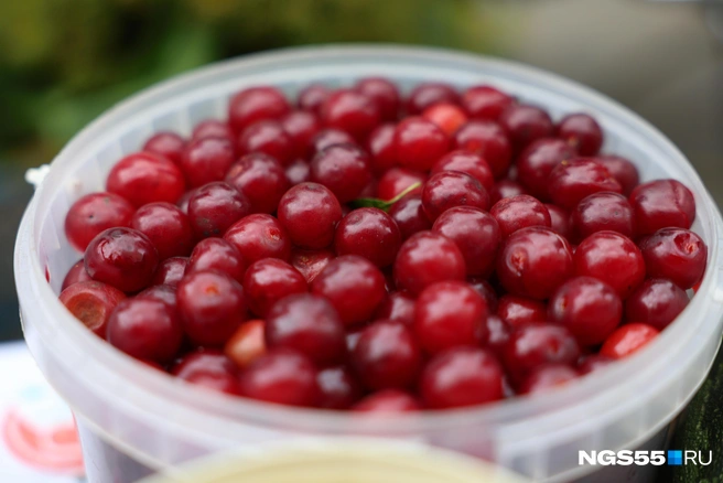 Источник: Евгений Софийчук / NGS55.RU