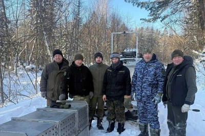 Инспекторы отпугивают тигра от села Пушкино в Хабаровском крае