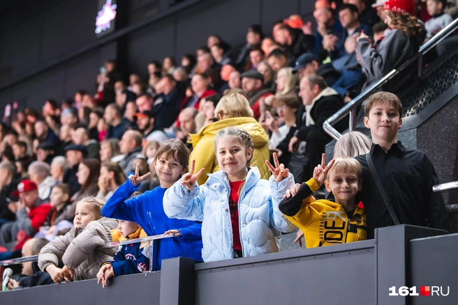 Источник: Евгений Вдовин / 161.RU