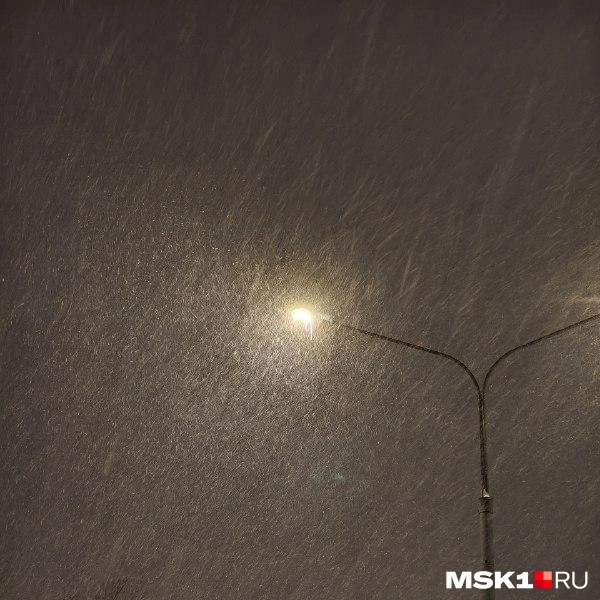 Источник: Читатель MSK1.RU