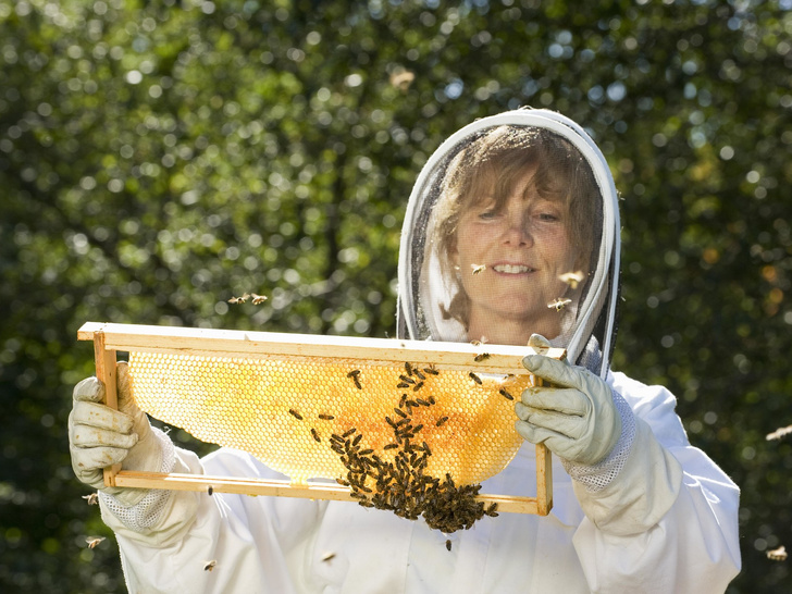 «От женщин пчелам»: Guerlain запускает программу, которая расширит права женщин