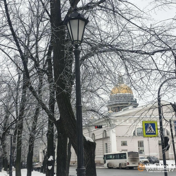 Источник: Алина Циопа / «Фонтанка.ру»