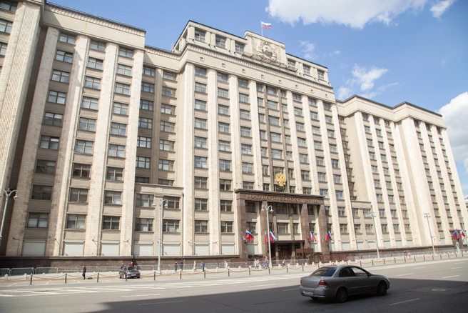 Теперь свыше 80 оснований. Госдума расширила список поводов для лишения приобретенного гражданства | Источник: Дмитрий Толстошеев / MSK1.RU