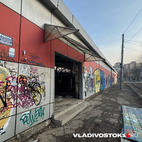 Источник: Елена Буйвол / VLADIVOSTOK1.RU