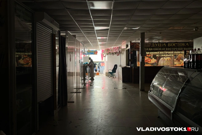 Источник: Елена Буйвол / VLADIVOSTOK1.RU