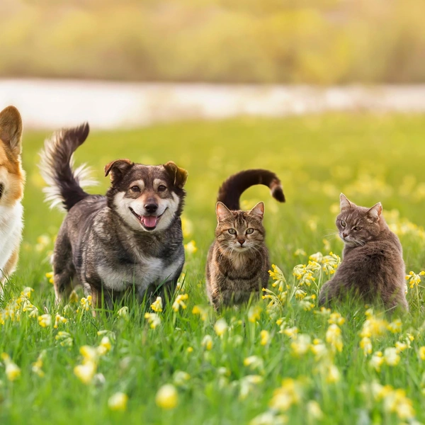 Источник: Shutterstock/Fotodom.ru