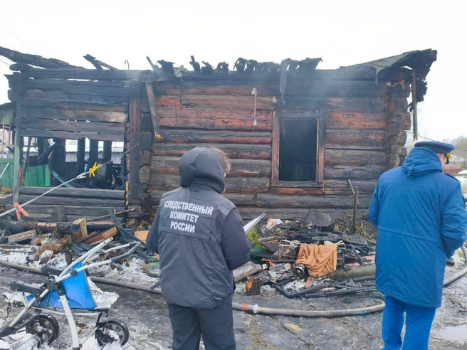 Пламя почти полностью уничтожило постройку | Источник: прокуратура Алтайского края