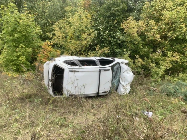 Водитель «Калины» не справился с управлением и разбился насмерть в Воронежской области | Источник: ГУ МВД России по Воронежской области / t.me/mvd36