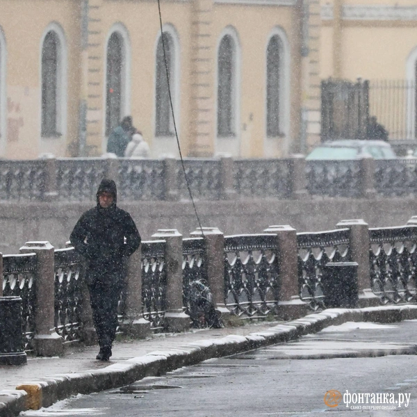 Источник: Сергей Михайличенко / «Фонтанка.ру»