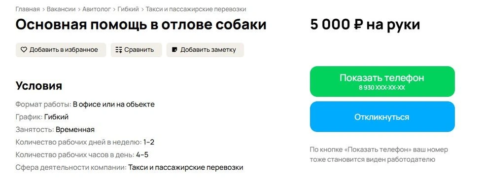 Источник: Avito.ru