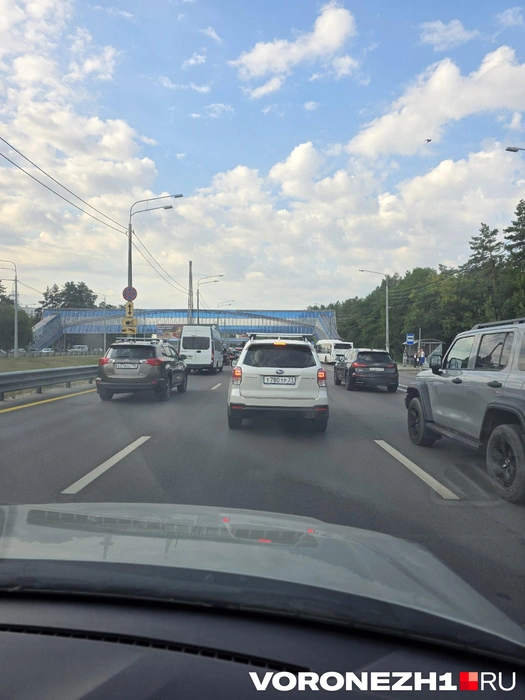Источник: читатель Voronezh1.ru