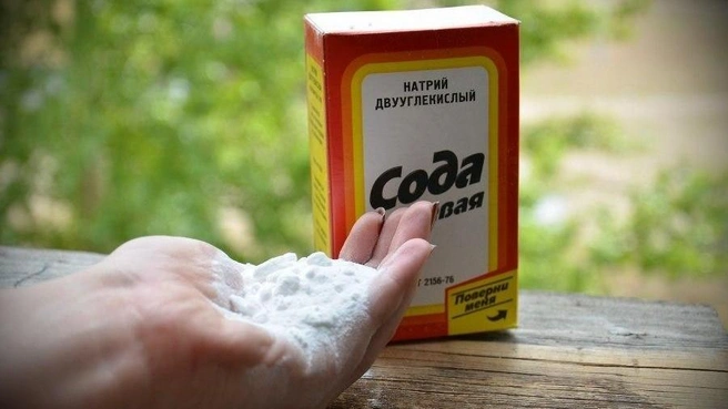 Узнали, как сода может быть халяльной | Источник: «Башкирская содовая компания» / Vk.com