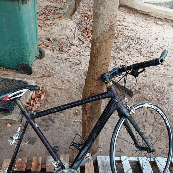 Подшаманил… | Источник: Николай Михалев