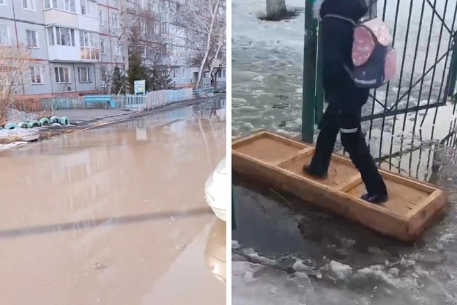 Омичи либо опускают руки, либо кидают на асфальт всё, что может помочь пройти  | Источник: «Омск Live» / T.me