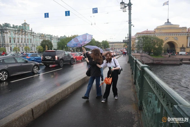 Ливень, град, гроза и ветер: в Петербурге разгулялась стихия | Источник: Валентин Егоршин / «Фонтанка.ру»
