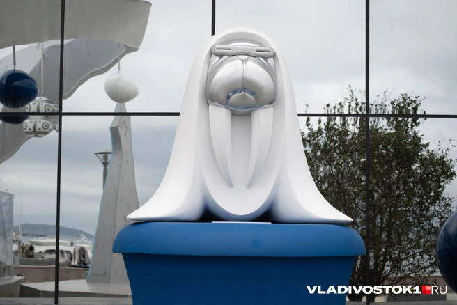 Источник: Елена Буйвол / VLADIVOSTOK1.RU