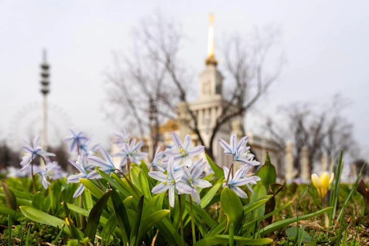 Источник: Пресс-служба ВДНХ