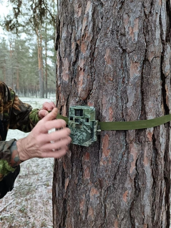 Источник: Варвара Сузько