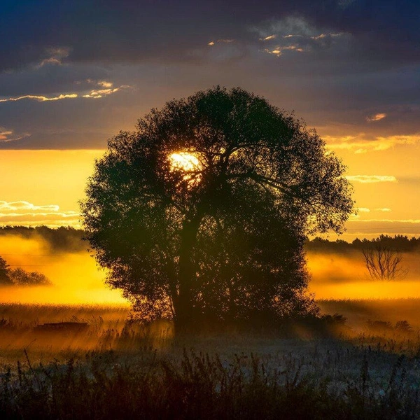 Восход над рекой Гвда, Польша | Источник: Krzysztof Tollas / Standard Chartered Weather Photographer of the Year 2025
