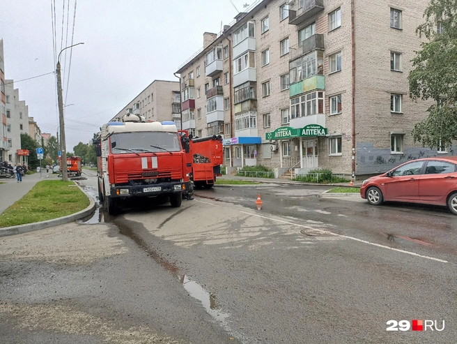 Источник: Иван Митюшёв / 29.RU