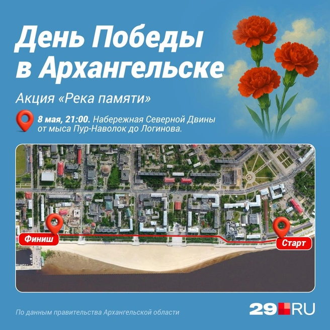 Источник: Полина Авдошина
