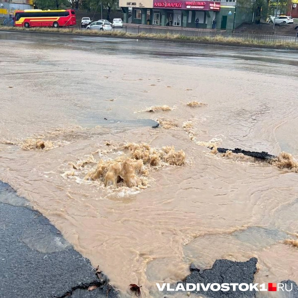 Источник: Елена Буйвол / VLADIVOSTOK1.RU