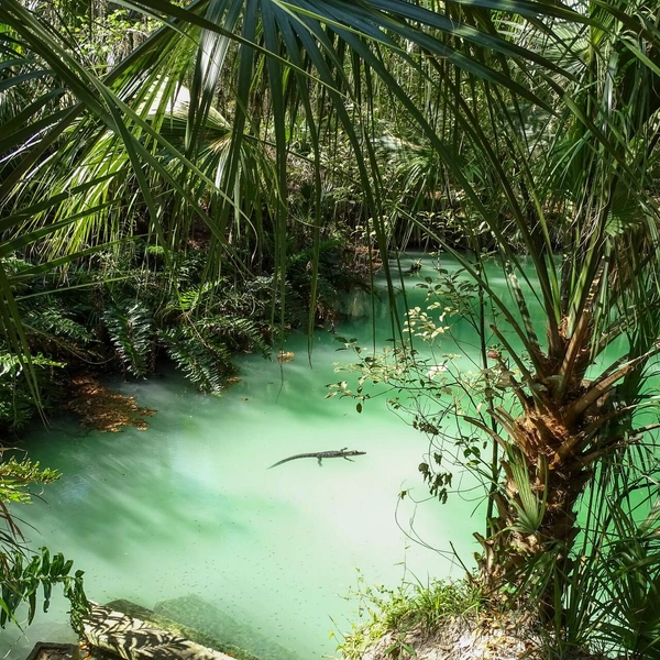 Финалист в номинации «Пейзаж» | Источник: Kristina Gavigan / Florida Wildlife Federation Photo Contest 2025