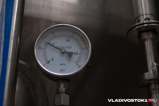 Источник: Елена Буйвол / VLADIVOSTOK1.RU