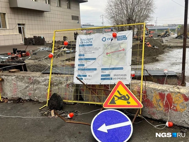 В Новосибирске в этом году после летнего сезона осталось очень много перерытых участков | Источник: Настасья Медведева / NGS.RU